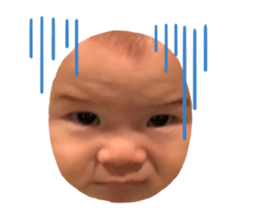 333822103