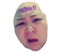 33384734