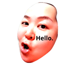 33384736