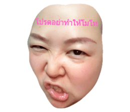 33384738