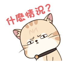 333863308