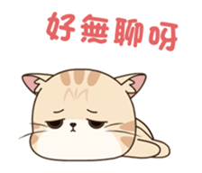 333863325