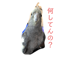 333873383
