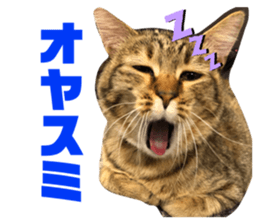 333874120