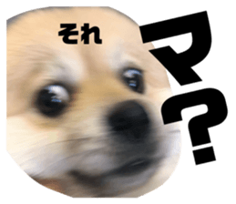 333874123