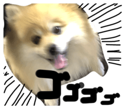 333874124