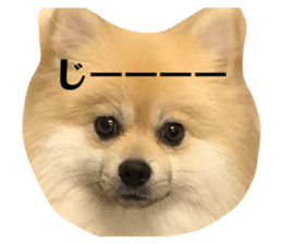 333874126