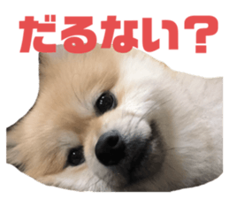 333874141