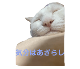 333961362
