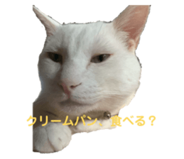 333961365