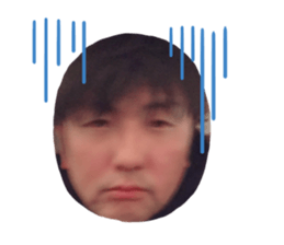 333992161