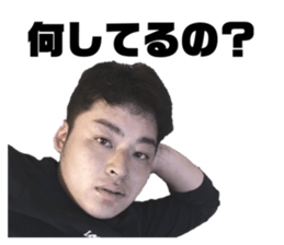 333994489