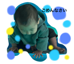 334001254