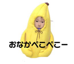 334005436