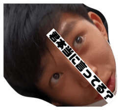 334011176