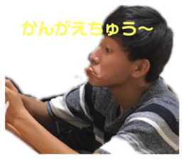 334011194