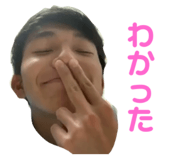 334011196