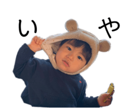 334022529