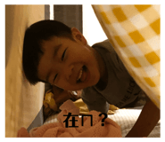 334065520