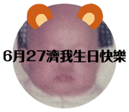 334204436