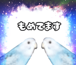 334230433