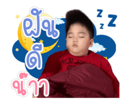 334251853