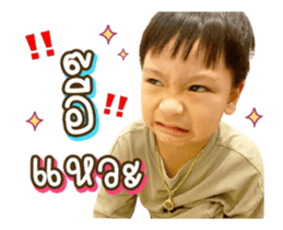 334252040