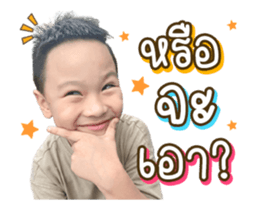 334252045