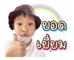 334252049