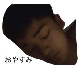 334268631