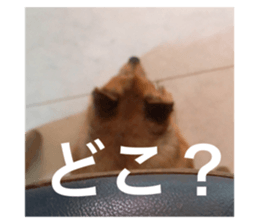 334268976