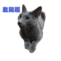 334291399