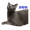334291404