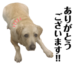 334306139