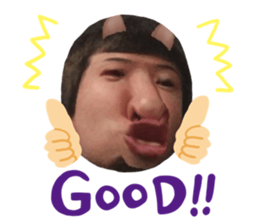 334307494
