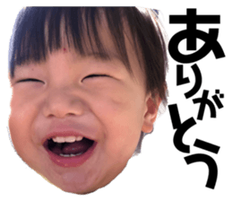 334308554