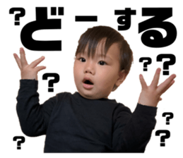 334308563
