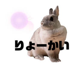 334310207