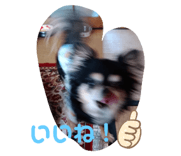 334312433