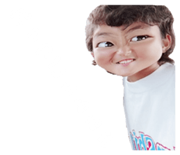334315875