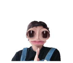 334315881