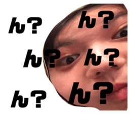 334320028