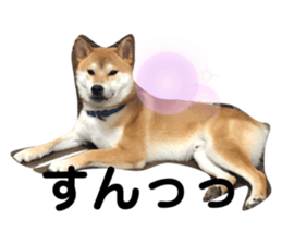 334320787