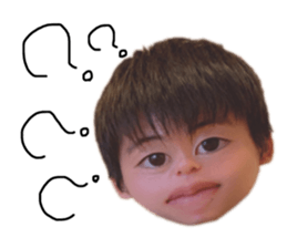 334364855