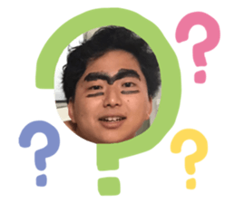 334366932