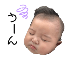 334369123