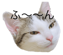 334378369