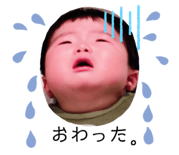 334379247