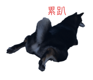 334438689