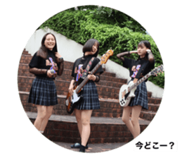 334445875